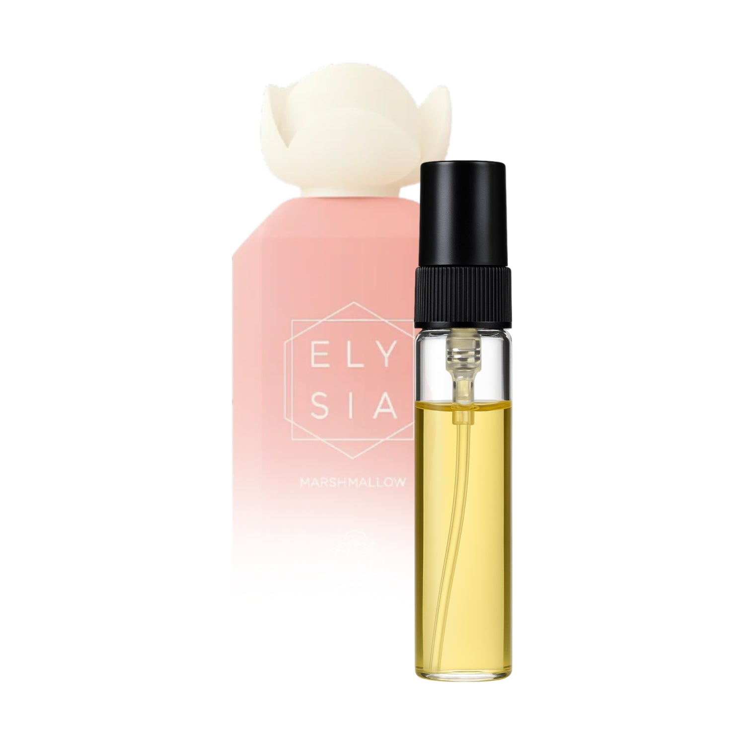 Rayhaan Divine Eau de Parfum Unisex 100ml | PureOud.nl – Pure Oud