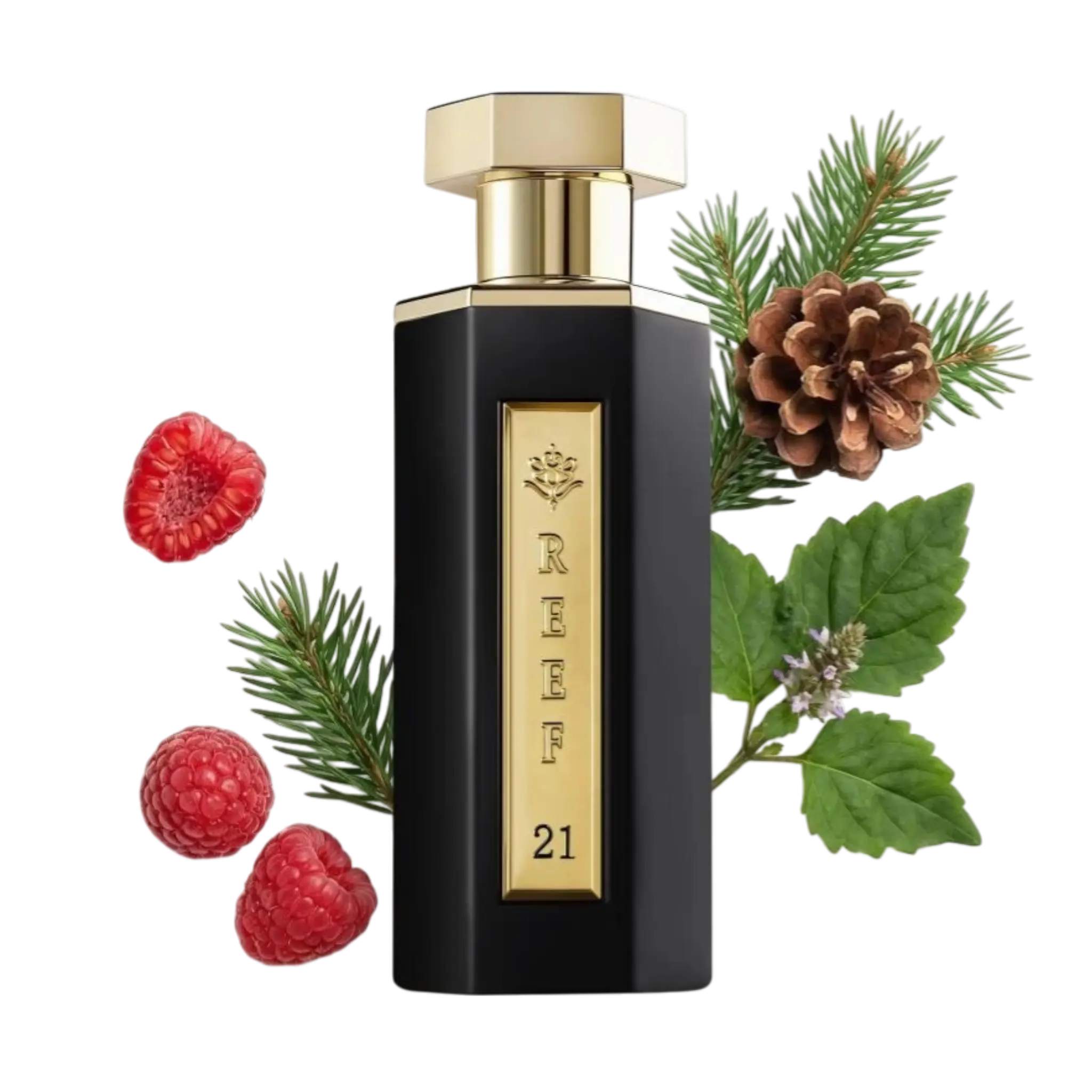 reef 21 parfum online bestellen