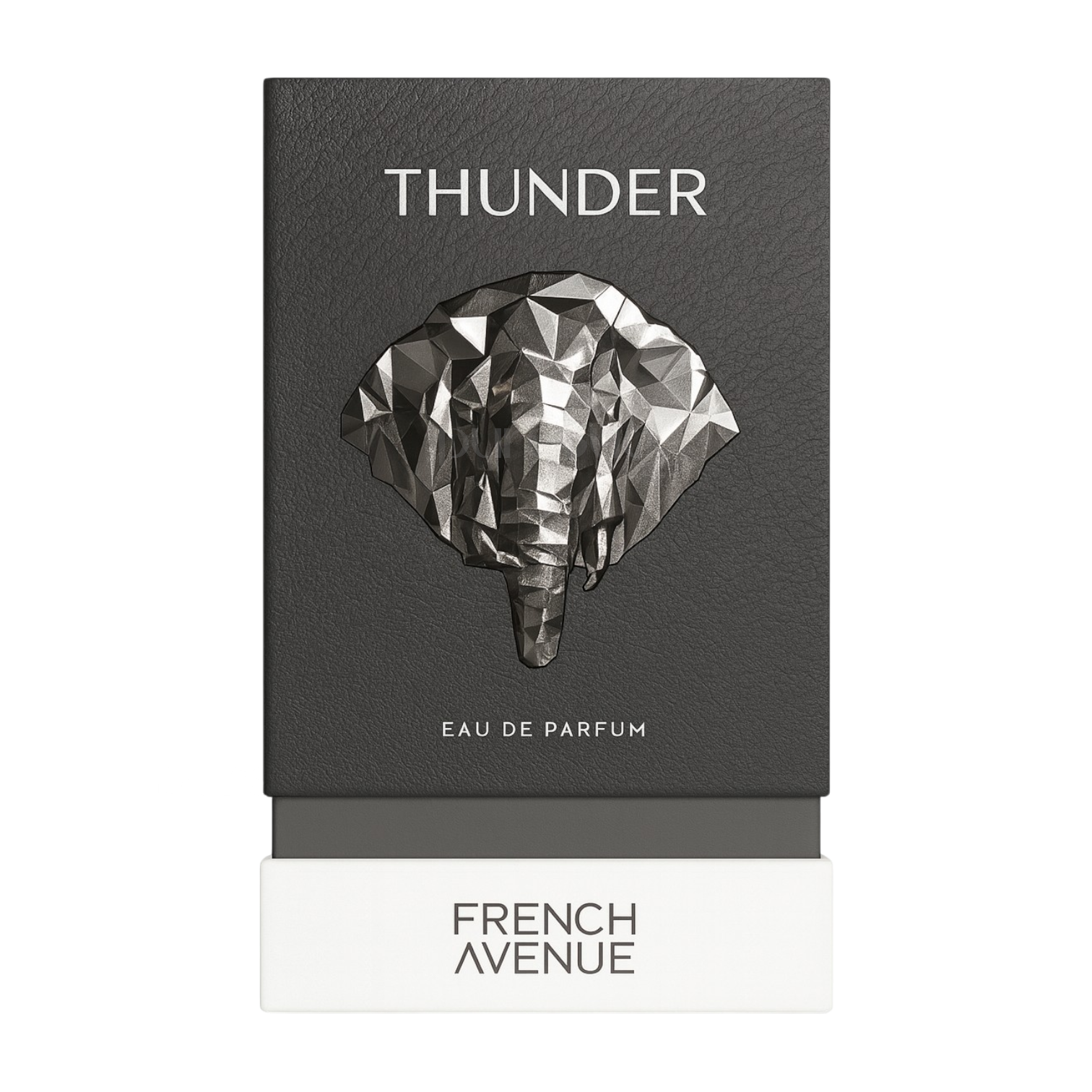 Thunder Eau de Parfum Unisex 100ml – French Avenue